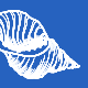 Sea Shell Motel