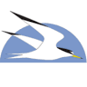 Seatuck Environmental Association