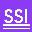 Securely Sound Inc