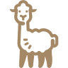 See Alpaka - Gehege