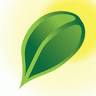 Seedlings
