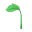 Seedschool