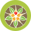 Seedz Provisions