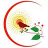 Seeking Solace Yoga Studio