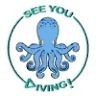 See You Diving Tenerife - Dive & Snorkeling