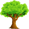 SERVICIO DE GESTIÓN AMBIENTAL DE TRUJILLO - SEGAT
