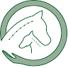 Tierphysiotherapie Semper-in-motu