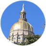 Georgia State Senate