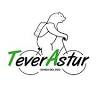Senda del Oso - Alquiler de bicicletas - TeverAstur