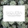 Sequoia Rolfing Structural Integration - Frankston South Clinic