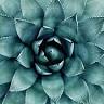 Serenity Massage Spa LLC