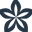 Seringe (Lilac)