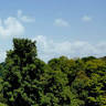 Weirton Health Care