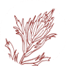 Serve Wyoming