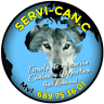 ServiCan Cabrils - Educació Canina