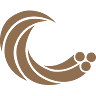 Service Wire Co