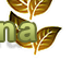Severin Sauna