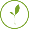 Seyma Endoterapia vegetal. Control De Plagas Y Jardinería