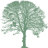 Shades of Green Events