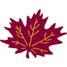 Shady Maple Smorgasbord