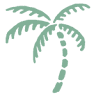 Shady Palms