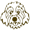 Shaggy Dog Market
