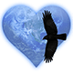 The Shamanic Healing Way