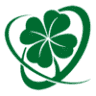 Shamrock Systems Inc