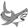Shark Shark Tuna