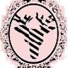 SHEDOES