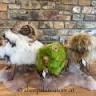 Sheepskin-Store