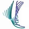 Shelain Patel - Consultant Foot and Ankle Surgeon