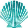 Shell Family Dental