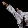 A.S.D. Shinseikan - Scuola di Karate Tradizionale c/o GBFitness