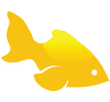 Shiny Fish Ltd