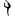Shirebrook Gymnastics Club