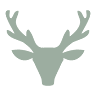 Shireburne Park Ltd
