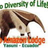 Shiripuno Amazon Lodge