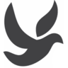 Shoalhaven Professional Bookkeeping