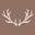 Ivory Buck Boutique