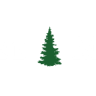 Pine Tree Mall