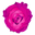 Pursona