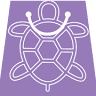 Purple Turtle Consignment Boutique