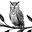 The Spotted Owl