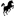 Show Pony Colour