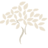 Shrubbery Dental Practice