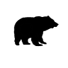ShugaBear's