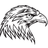 Sialkot Hawks