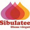 Kostja Sibulatalu