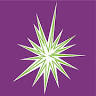 Sparkling Image Car Wash